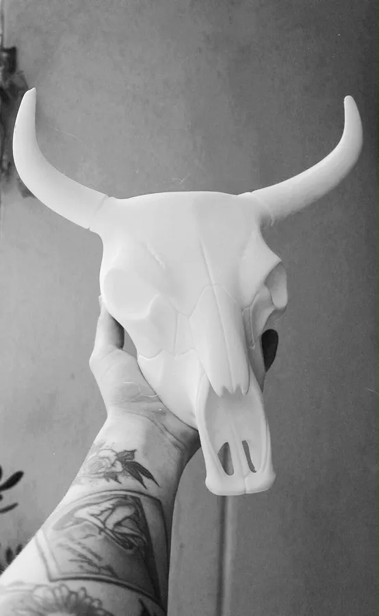 Cráneo de toro decorativo impreso en 3D