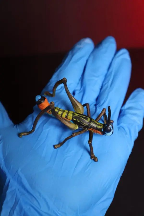 Réplica de saltamontes pintada a mano sostenida en la mano