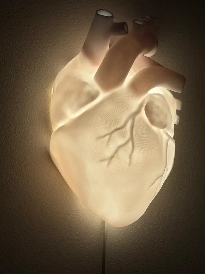 Lámpara de corazón anatómico impresa en 3D con luz